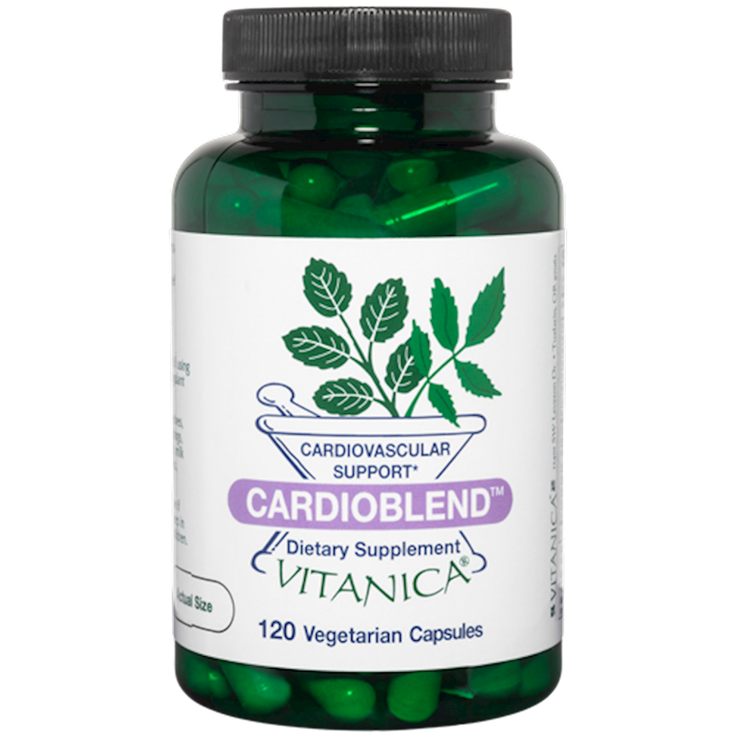 CardioBlend