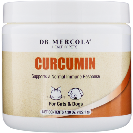 Curcumin for Pets